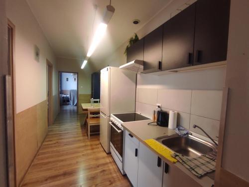 Apartament Wielka 12