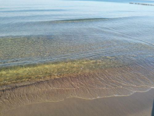 Apartament Alga Klifowa Rewal