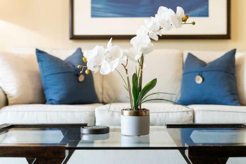 Turtle Bay Villas 114