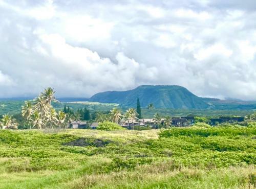 Apartamento Black Sands Beach Condo With Full Kitchen