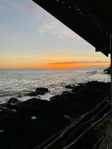 Oceanfront Delight