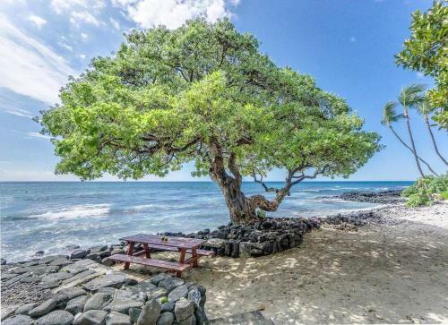 Kona Bali Kai #406