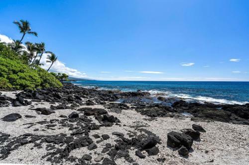 Kona Isle D2