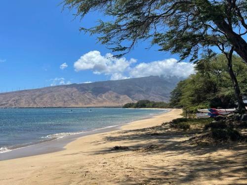 Apartamento This Place Is Different!! Totally Remodeled Modern Oceanfront Condo. View View!