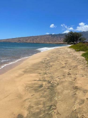 Apartamento This Place Is Different!! Totally Remodeled Modern Oceanfront Condo. View View!