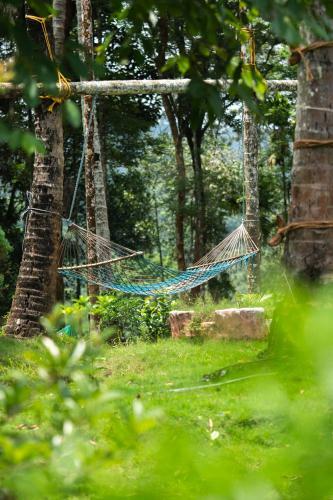 Villa Saffronstays Wellbeing