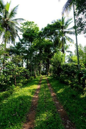 Villa Saffronstays Wellbeing