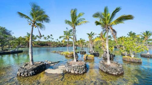 Mauna Lani Fairways #102