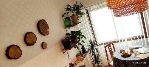 Apartamento La Villa Es Torta