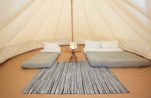 20 'vega' Bell Tent Glamping Anglesey