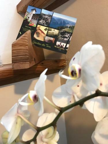 Hostal Giardino Alla Torre Room&breakfast