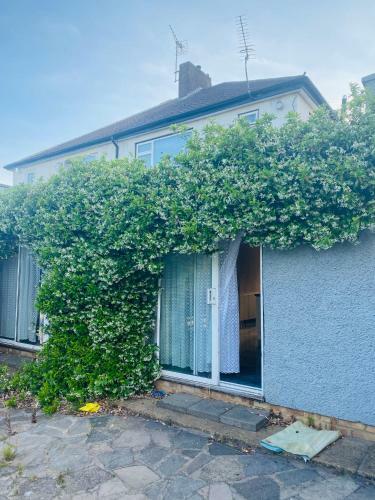 Apartamento Indy Garden