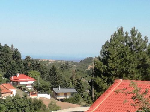Hostal The Magic Mountain