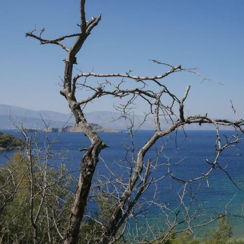 Villa Laspi / Petres