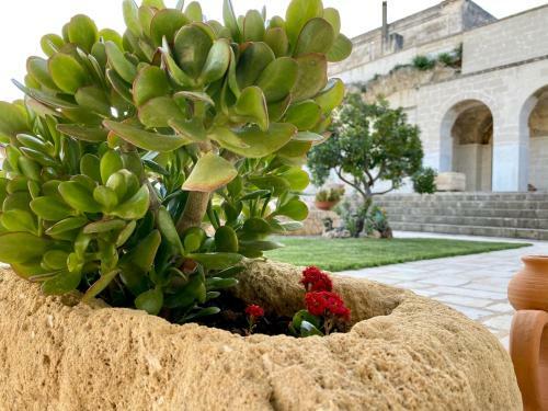 Villa Masseria Frantella
