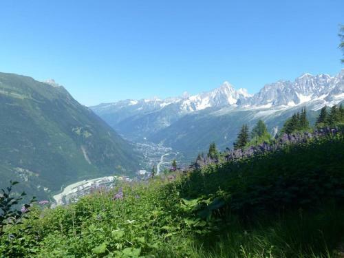 Chalet Des Glaciers