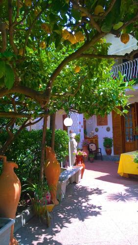 B&B Villa Anna Wunderbar