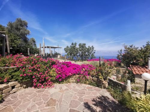 Apartamento Appartamenti In Collina E Vista Mare