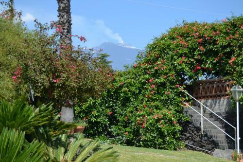 B&B La Casa Del Ficus