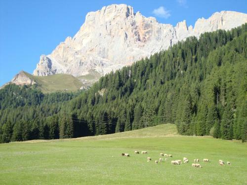 Hotel Maso Col