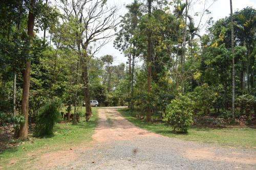 3 Hills Hostel