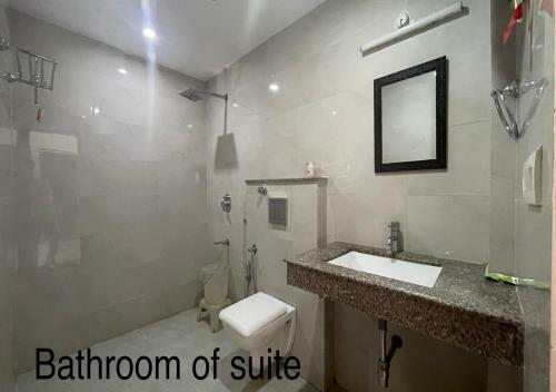 Hotel Anand Palace
