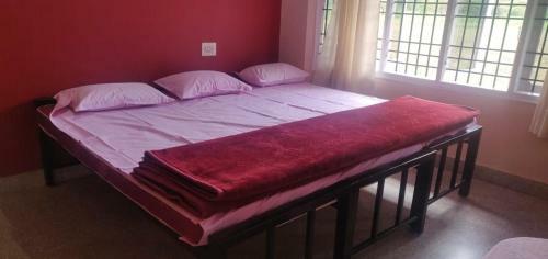 Hostal Rock Hill View Eco Stay