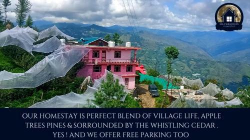Silvermoon Homestay