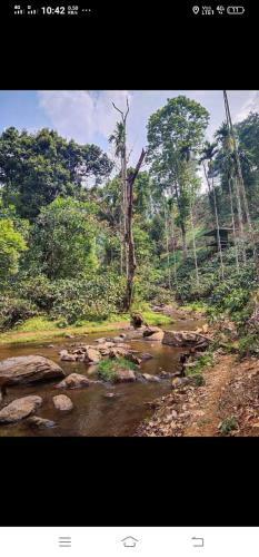 Silvercloud Homestay