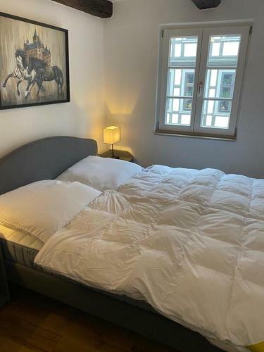 Apartamento Harzromantik