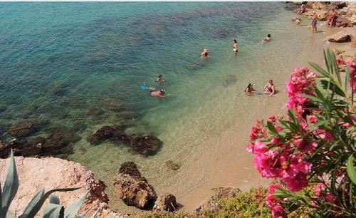 Apartamento Ampolla Mar