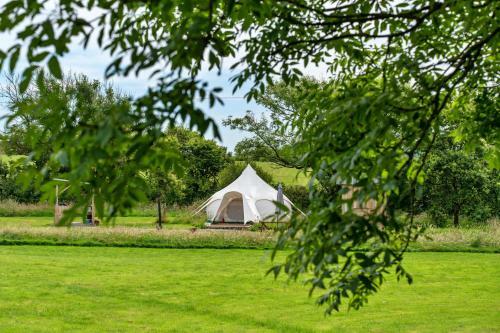 Oak Lotus Belle Tent