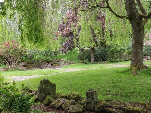 Hidden Oasis