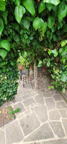 Beautiful 1 Bedroom Cottage With Courtyard.