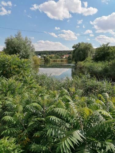 Apartamento Ferienwohnung Am See