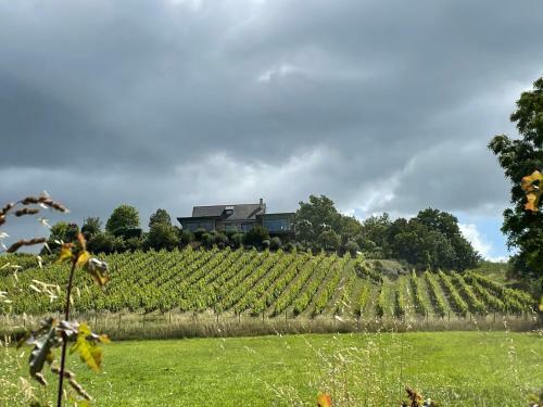 Villa Maison Des Coteaux Blancs