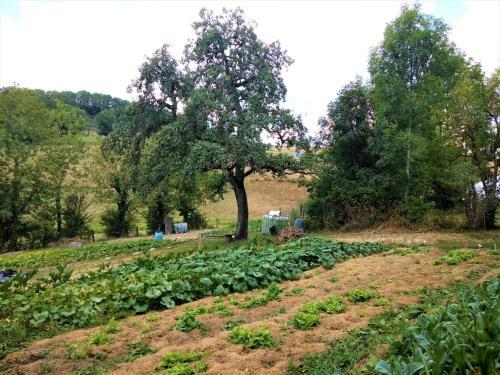 S�jour Zen � La Campagne