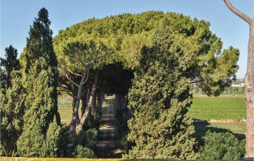 Vigna Grazia