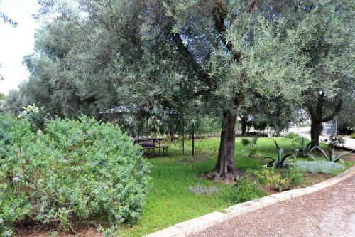 Apartamento Monolocale Porto Cesareo