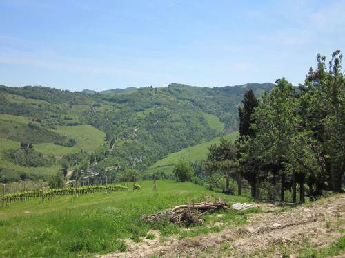 Apartamentos Borgata Porpora Uno