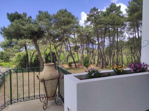 Casa La Pineta