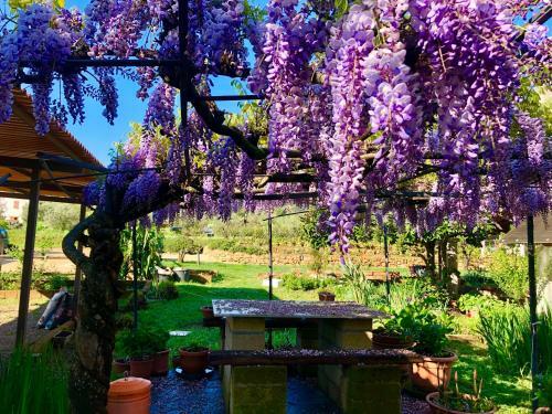 Agroturismo Agriturismo Montefabbrello