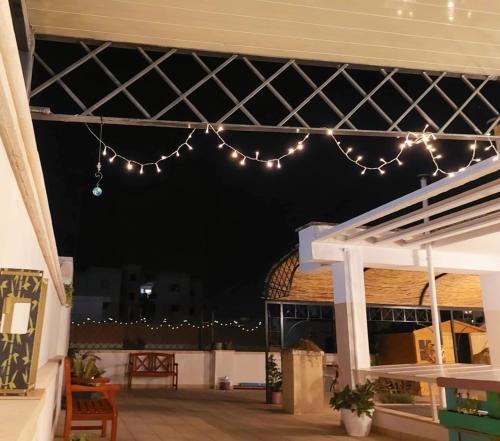 Apartamento Terrazza 44