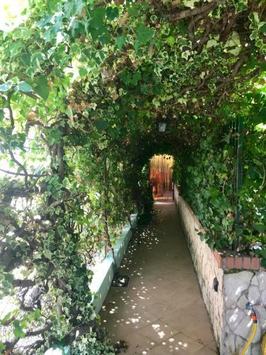 B&B Villa San Valentino