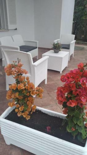Garden Suite