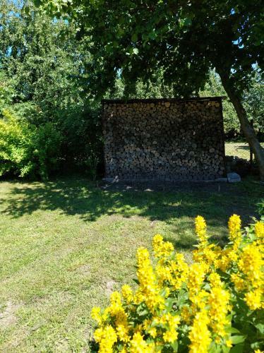 Apartamento Domek Na Gda?skiej
