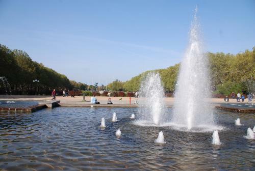 Apartament 87