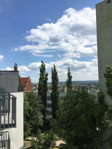 Apartament 87