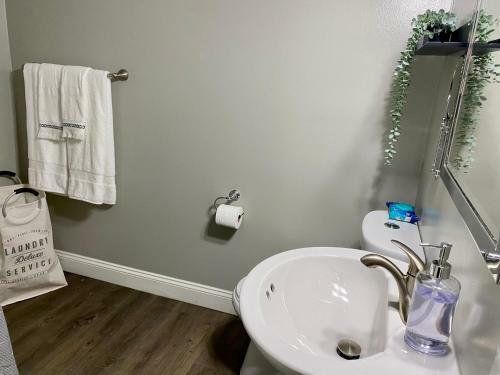 Cozy 1 Modern One Bedroom One Bath Apartment