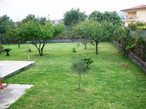 Villa Vera